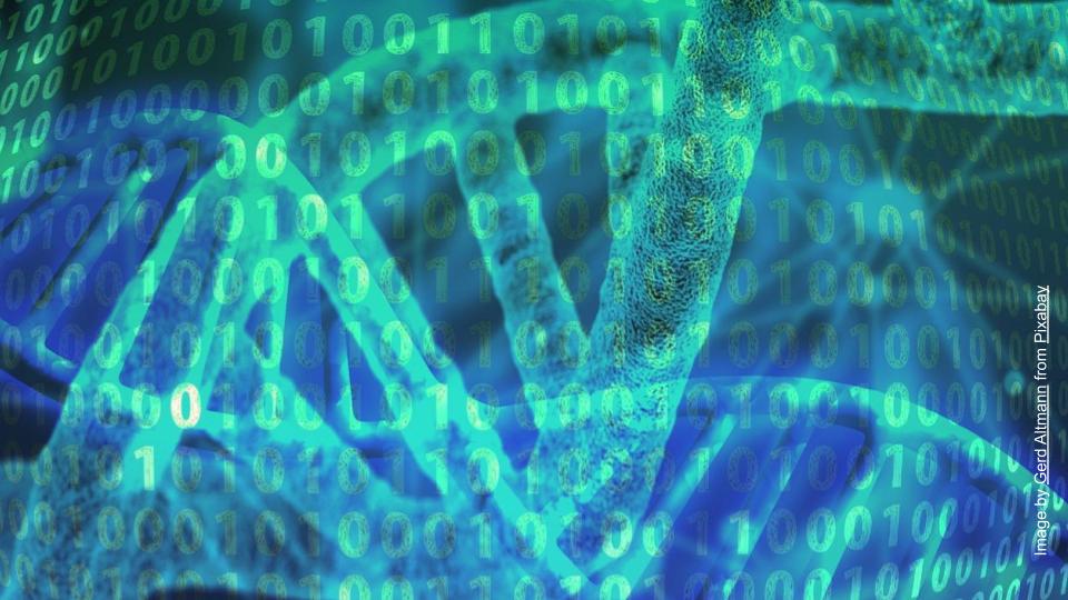 dna and a digital matrix overlapping